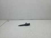 Einspritzdüse PEUGEOT 207 CC (WD_) 1.6 16V 0445110252