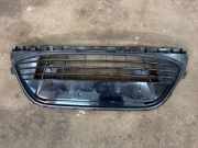 Gitter vorne unten FORD S-MAX (WA6) 2.0 TDCi AM2117B968B