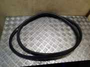 Türgummi links vorne Kia Sorento I (JC)