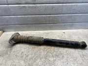 Stoßdämpfer hinten links VW PASSAT B6 (3C2) 2.0 TDI 564779