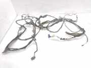 Kabelbaum JAGUAR XJ (X350) 2,7 D 7W9314334