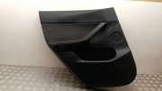 Türpolster hinten links TESLA MODEL Y EV 169729601J