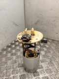Kraftstofftankpumpe RENAULT MASTER III Furgon (FV) 2.3 dCi 150 FWD 172026697R