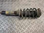 Stoßdämpfer vorne rechts VW TIGUAN (5N_) 1.4 TSI