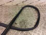 Türgummi rechts vorne Skoda Yeti (5L)