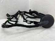 Türverkabelung hinten links VW GOLF VIII (CD1) 1.5 TSI Bluemotion 5H9971694L