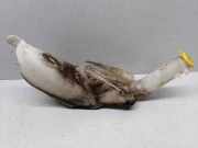 Fensterwaschtank OPEL ASTRA G Estate (F35_) 2.0 DTI 16V