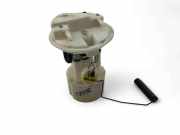 Kraftstoffpumpe Renault Clio II (B) 250607248R