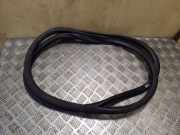 Türdichtung VW Tiguan I (5N) 5N0867913