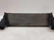 Ladeluftkühler BMW X5 (E70) xDrive 30 d 1751753347506
