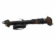 Stoßdämpfer hinten rechts MERCEDES-BENZ M (W164) ML 350 4-matic (164.186) D01272