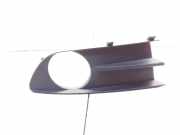 Gitter Grill vorne links RENAULT LAGUNA II Grandtour (KG0/1_) 2.2 dCi (KG0F) 000009745