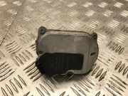 Ventilmotor Ansaugkrümmer AUDI A8 D3 (4E2, 4E8) 4.2 FSI quattro 2900309551