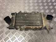 Ladeluftkühler Opel Vectra C (Z02) 52475657
