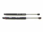 Heckklappe Gasdruckfeder links MERCEDES-BENZ R (W251, V251) R 320 CDI 4-matic (251.022, 251.122) K3797