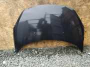 Motorhaube PEUGEOT 308 (4A_, 4C_) 2.0 HDi