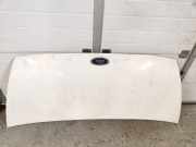 Motorhaube Ford Transit Kasten (F**Y)