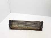 Ladeluftkühler Mercedes-Benz Vito/Mixto Kasten (W639) A6395011301