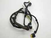 Kabel Tür Nissan X-Trail II (T31) 24126JH10A