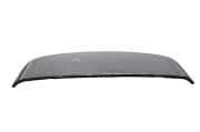Spoiler hinten Lexus RX 2 (U3)