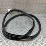 Türgummi links hinten Renault Zoe (BFM) 769232904R