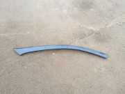 Dachleiste links PEUGEOT 607 (9D, 9U) 2.7 HDi 24V 300537