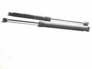 Heckklappe Gasdruckfeder links VW TIGUAN (5N_) 2.0 TFSI 4motion 5N082755004S