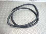 Türdichtung Opel Insignia A Stufenheck (G09)