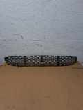 Gitter vorne unten MERCEDES-BENZ E T-Model (S211) E 320 T CDI 4-matic (211.289) A2118850053