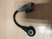 Klopfsensor Citroen C5 III (RD)