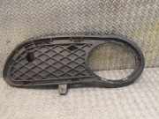 Gitter Grill vorne links MERCEDES-BENZ C Coupe (CL203) C 200 Kompressor (203.742) 2038850923