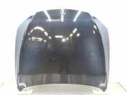 Motorhaube BMW 7 (F01, F02) 750 i