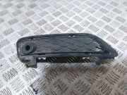 Gitter vorne unten BMW X4 (F26) xDrive 20 d 7249595