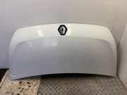 Motorhaube RENAULT MASTER III Furgon (FV) 2.3 dCi 110 FWD