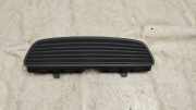 Gitter MERCEDES-BENZ S Cabrio (A217) AMG S 65 A2226890066