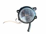 Nebelscheinwerfer links NISSAN LEAF (ZE0) Electric 89209182