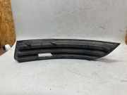 Gitter vorne unten VW PASSAT B6 (3C2) 2.0 TDI 16V 3C0853666