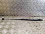 Heckklappe Gasdruckfeder links OPEL ASTRA G Sedan (F69_) 2.0 16V 2313500