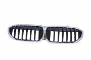 Vorderer oberer Gitter BMW 3 (G20, G28) 3 (G20) 320 d xDrive 7457051 8075665