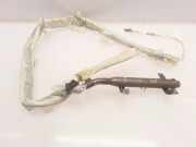 Dach SRS rechts NISSAN PRIMERA Estate (WP12) 2.2 Di