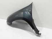 Kotflügel vorne links