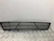 Gitter vorne unten BMW 5 Gran Turismo (F07) 530 d 1460915