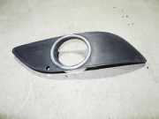 Nebelscheinwerferverkleidung MERCEDES-BENZ B (W245) B 180 CDI (245.207) A1698851222