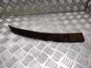 Türverkleidung links hinten BMW 5er (E60)