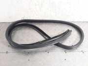 Türdichtung BMW 5er (E60)