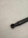 Heckklappe Gasdruckfeder rechts BMW X5 (F15, F85) xDrive 30 d 9149120