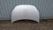 Motorhaube FIAT 500X (334_) 1.3 D Multijet