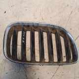 Vorderer oberer Gitter BMW X5 (E53) 3.0 d 7124816