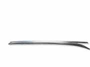 Dachreling links BMW X3 (F25) xDrive 20 d 7230207