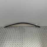 Obere linke Vordertürleiste BMW 4 Coupe (F32, F82) M4 7433337
